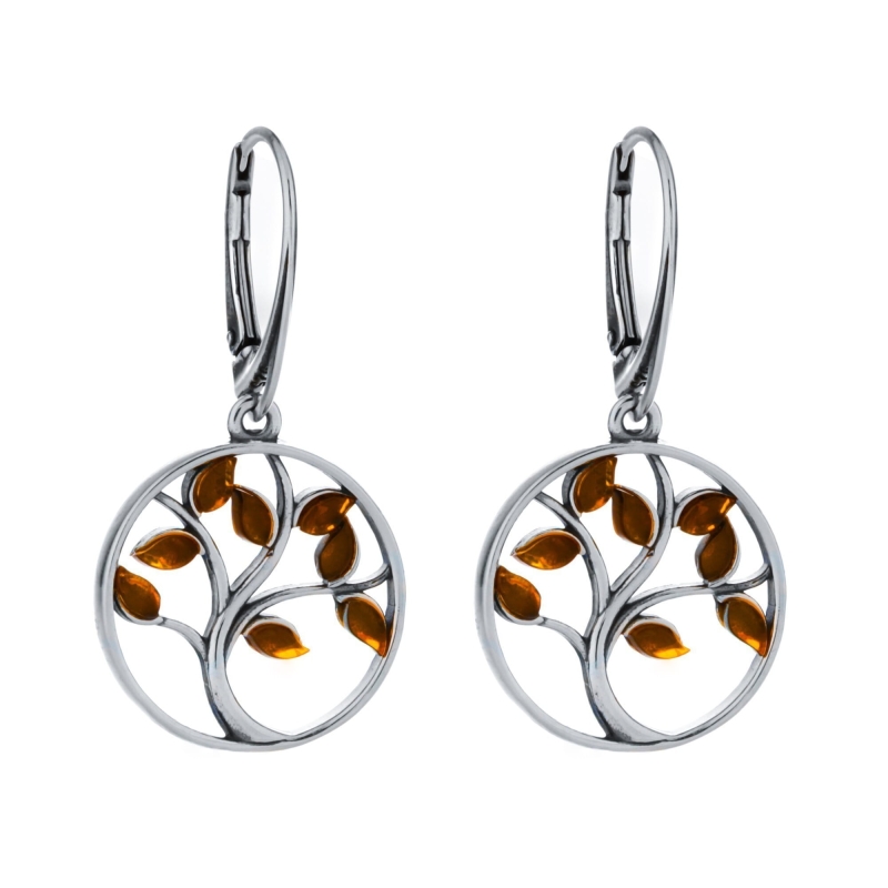 88cce7295278c651ae4f6d2030d72516