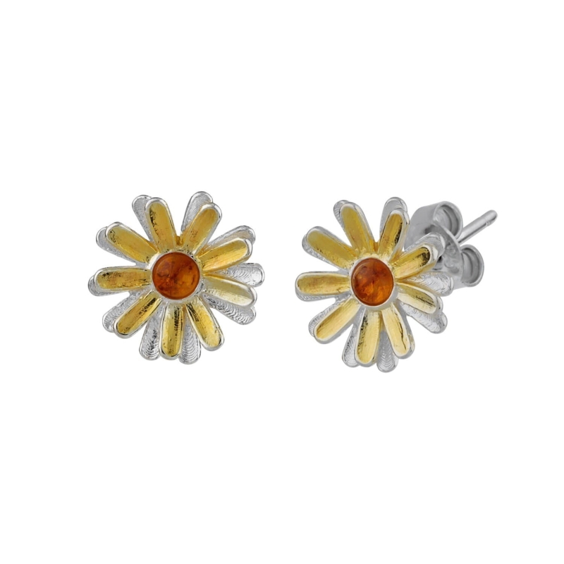 36cf29f4d40dd4168965fdeca6eab678