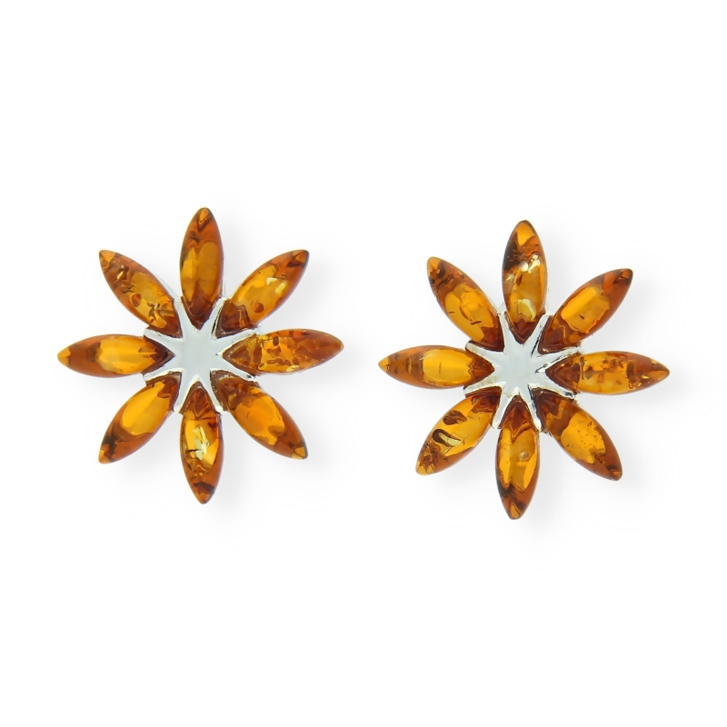 5be1582601311a74822e453803a13381