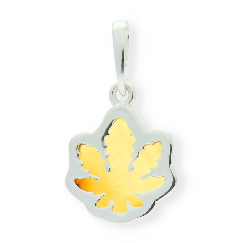 a6555abea5ccb2fea96dbf5c6ffdb982